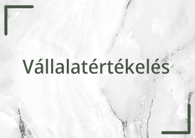 Esettanulmány – Vállalatértékelés