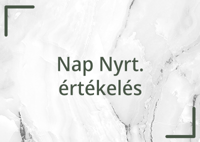 Esettanulmány – Nap Nyrt. értékelés